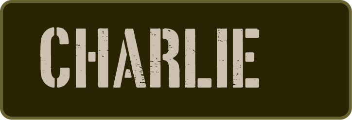 Grunge-style text "CHARLIE" in white on a dark background.