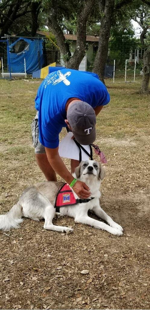 Man in a blue shirt and cap petting a service dog with a red vest outdoors.