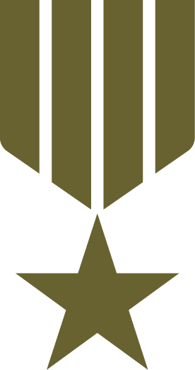 Military medal icon with vertical stripes and star