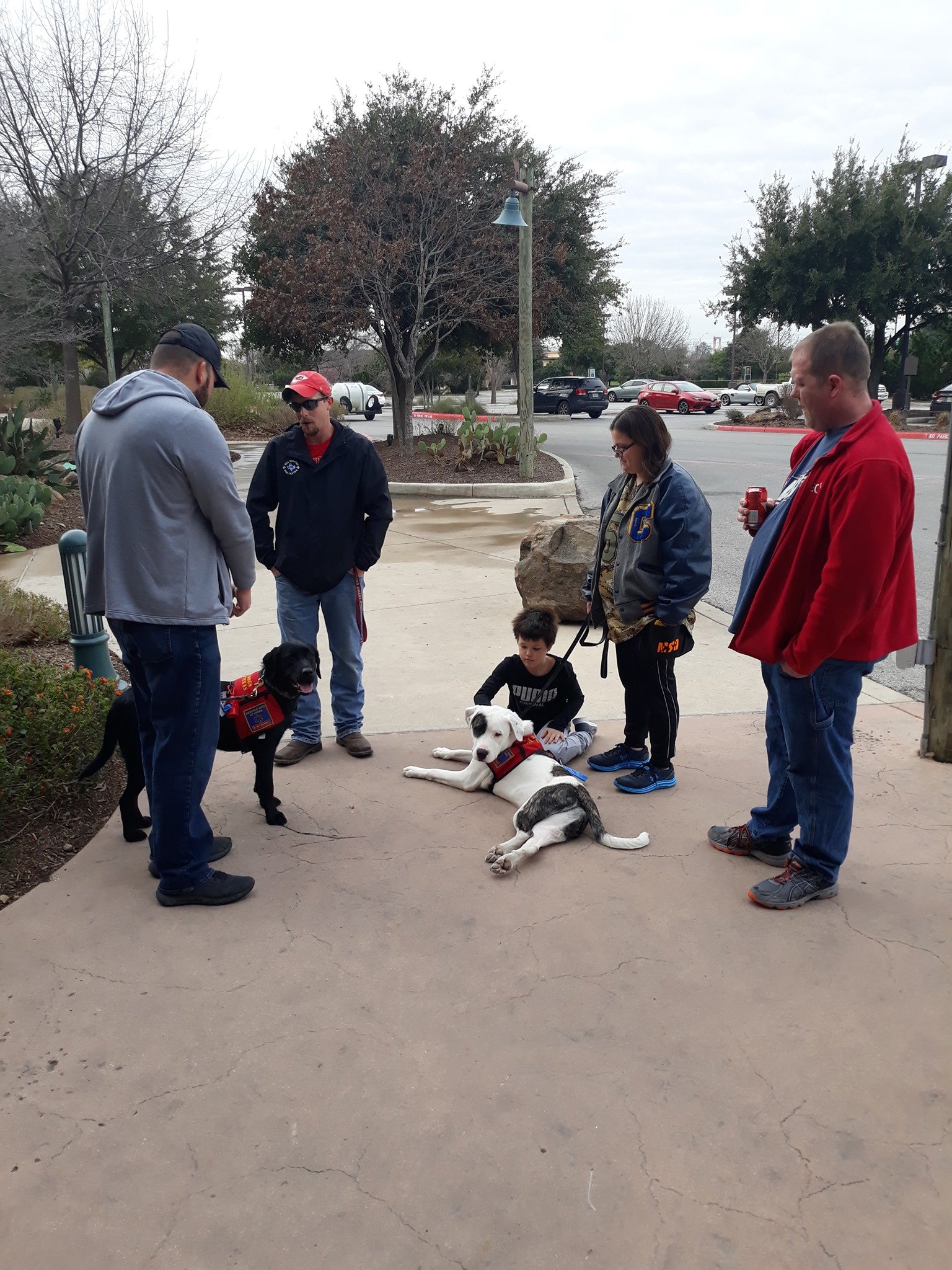 Group of people gathered outdoors, one touching two service dogs wearing red vests, concrete ground.