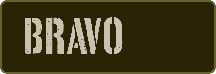 Logo with the word "BRAVO" in stylized, distressed font on a dark background.