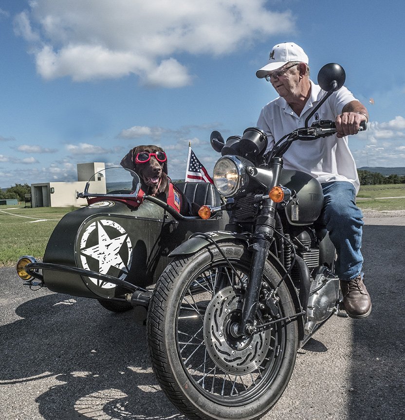 Elderly man riding a vintage motorcycle with a sidecar, accompanied by a dog wearing goggles, outdoor setting.